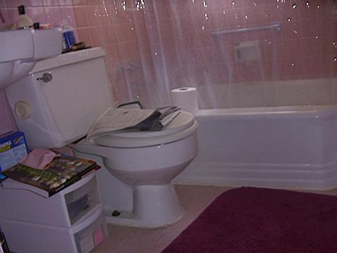 bathroom_before3_1231837768_o