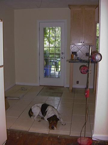 kitchen_boxer_1231839468_o